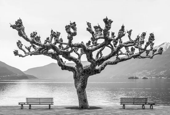 Fotografie in Bianco e Nero del Fotoclub Turrita