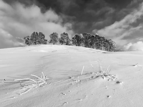 Fotografie in Bianco e Nero del Fotoclub Turrita